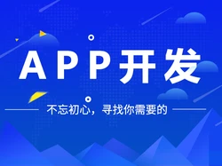 APP开发